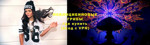 гидра Медногорск