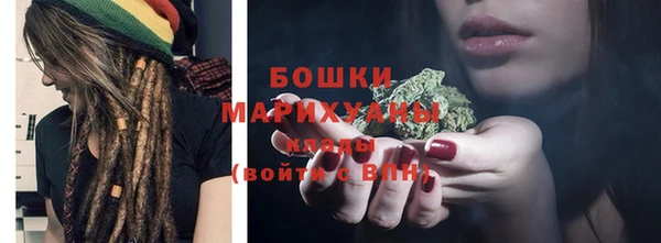гидра Медногорск