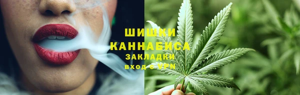 гидра Медногорск