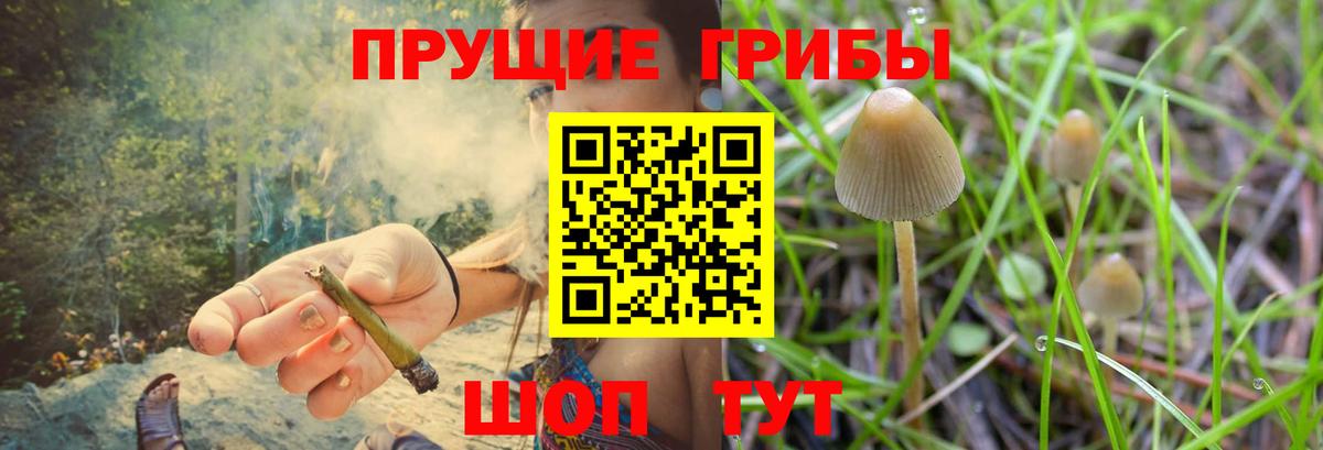 Псилоцибиновые грибы прущие грибы  Вход с VPN  Новотроицк 