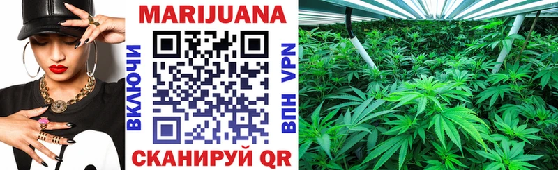 Конопля ГИДРОПОН  Новотроицк 